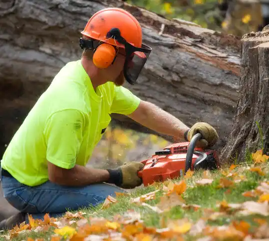 tree services Shawnee